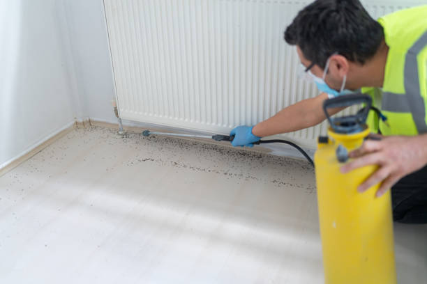 Best Pest Control for Homes  in Estill Springs, TN